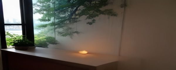 枫可怜作品中的日常互动场景，柔和自然光，展示角色在非高潮段落的细腻表情管理与肢体语言